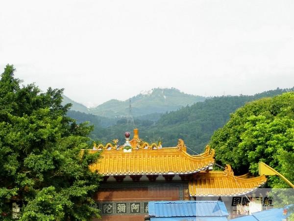 深圳市罗湖区地图