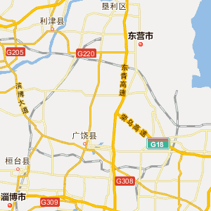 德州临邑县地图图片