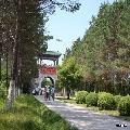 鹤岗地图 松鹤公园  信息更新时间:2015年6月8日 地址:鹤岗 景区级别