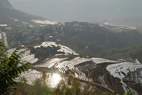 双柏县人口_云南双柏县5.1级地震,震中距野象群约15公里 人象平安(2)